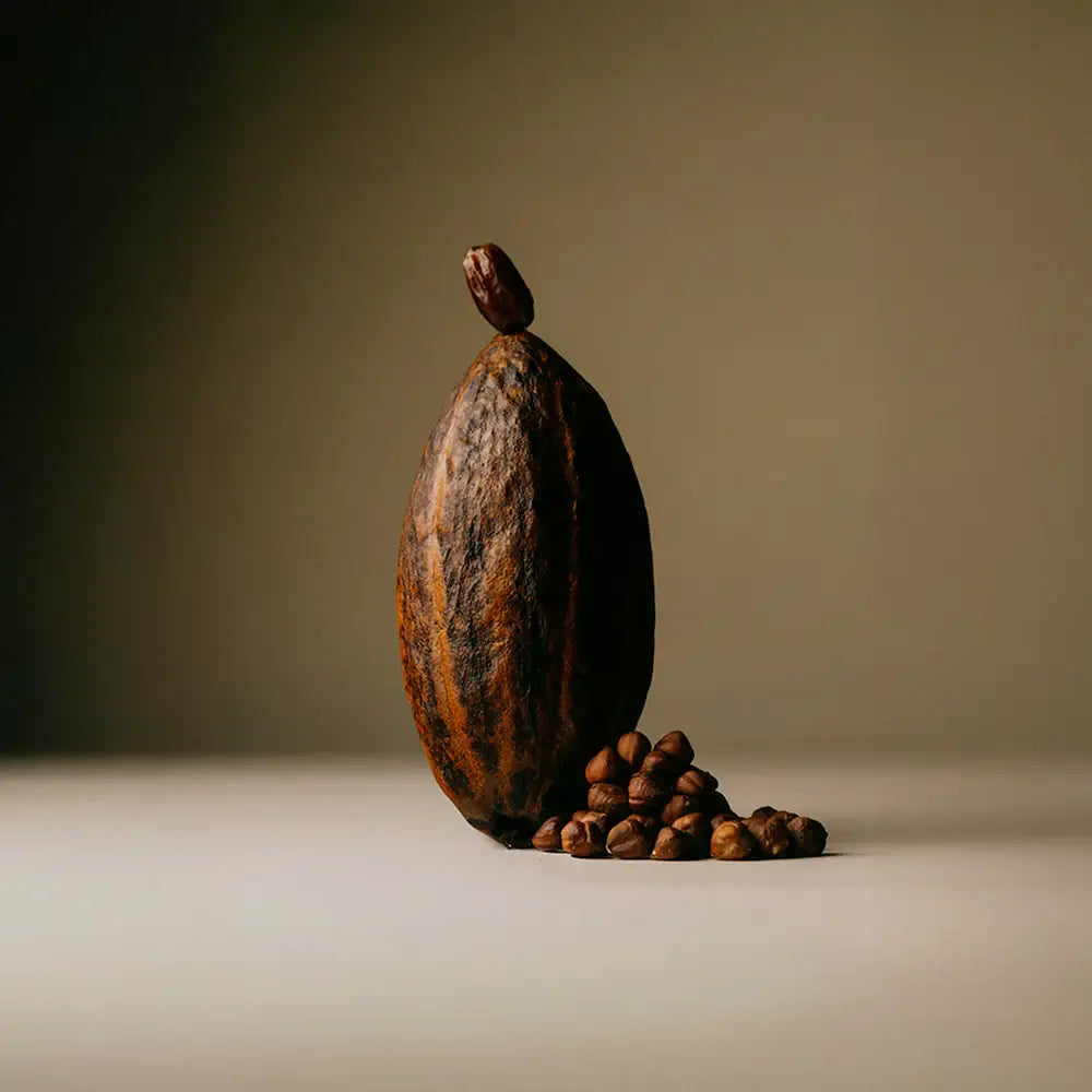 Date Sweetened Dark Chocolate - Roasted Hazelnut