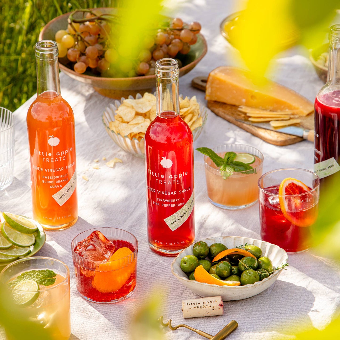 Strawberry Pink Peppercorn Cocktail Shrub—with fresh fruit!