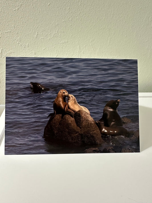 Lover Seals Card Dillon McGlue Photography