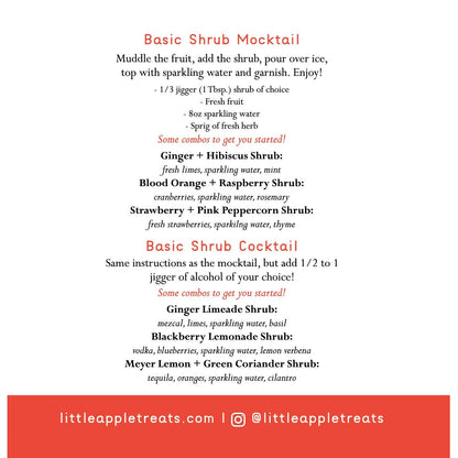 Blackberry Lemonade Shrub—made with fresh fruit! - Another Banger