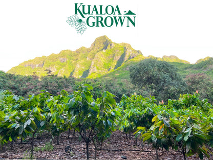 Seasonal - KualoaGrown Starfruit Pepper Jelly: 7 oz.