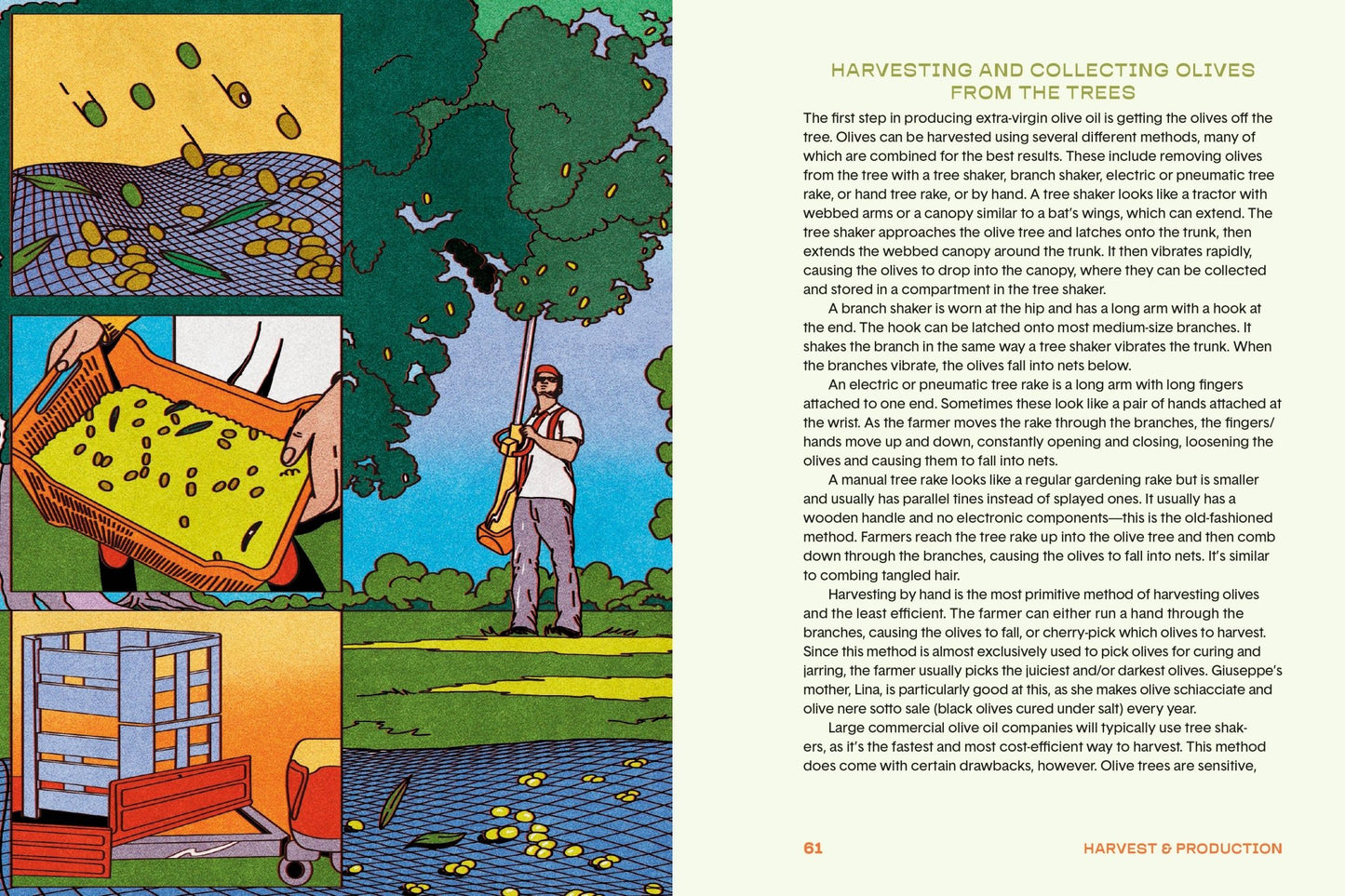 The Olive Oil Enthusiast - Another Banger