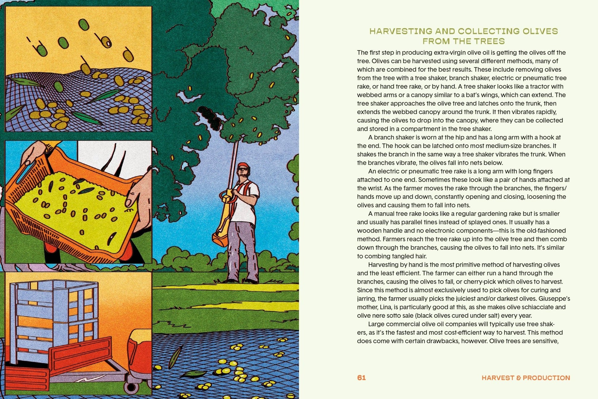 The Olive Oil Enthusiast - Another Banger